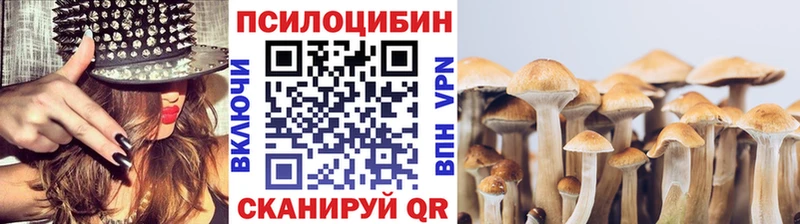 где купить   Змеиногорск  даркнет Telegram  Галлюциногенные грибы Psilocybine cubensis 